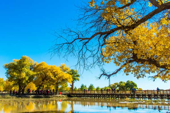 額濟(jì)納旗旅游