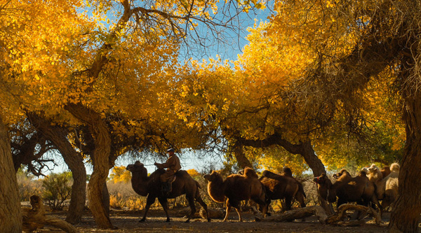內(nèi)蒙古旅游