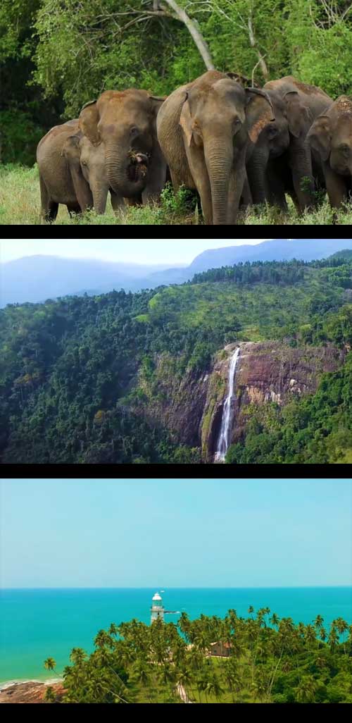 斯里蘭卡01 斯里蘭卡01