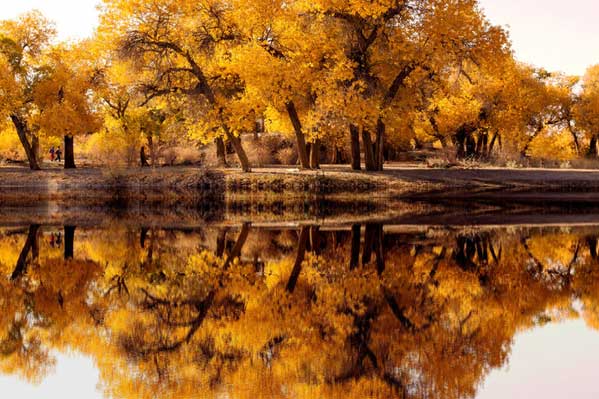 完美甘青大環(huán)線(xiàn)（蘭州-門(mén)源花海-祁連大草原-張掖七彩丹霞-察爾汗鹽湖-茶卡鹽湖-青海湖）雙動(dòng)8日游