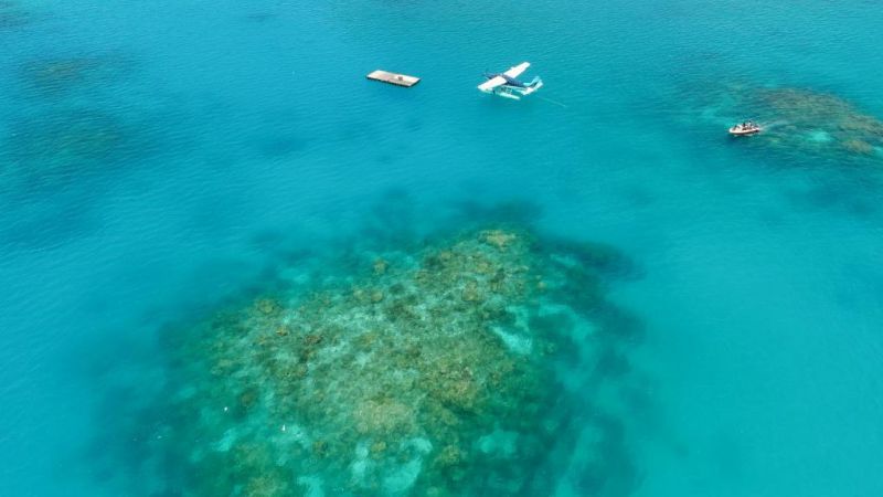 馬爾代夫太陽(yáng)島3