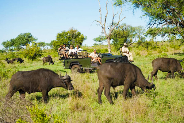 肯尼亞 10 天觀(guān)看野生動(dòng)物特色之旅（長(zhǎng)沙直飛，可配全國(guó)聯(lián)運(yùn)）