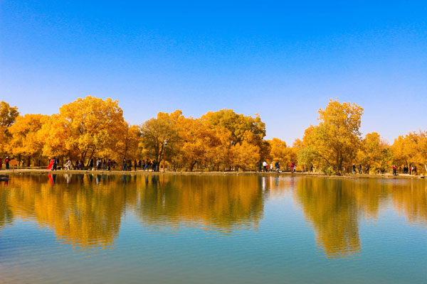 蘭州-金塔胡楊林-一道橋至八道橋胡楊林-居延海-策克口岸-沙坡頭-額濟(jì)納旗大環(huán)線(xiàn)雙動(dòng) 7 日游