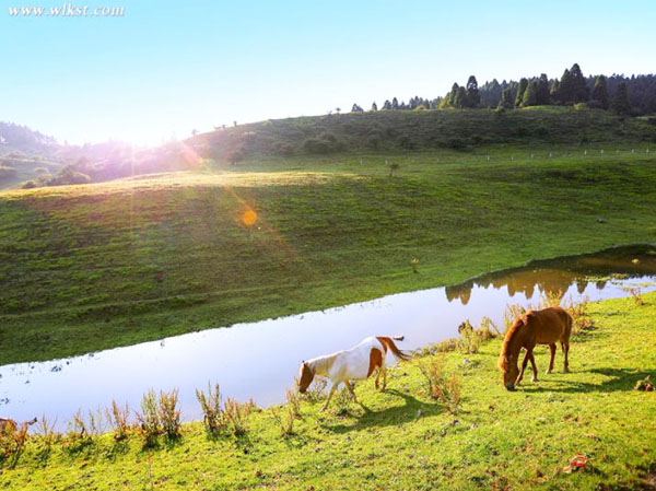 秘境武隆仙女山、天生三橋、龍水峽地縫、烏江畫(huà)廊2日游（2-8 人精品小團(tuán)）