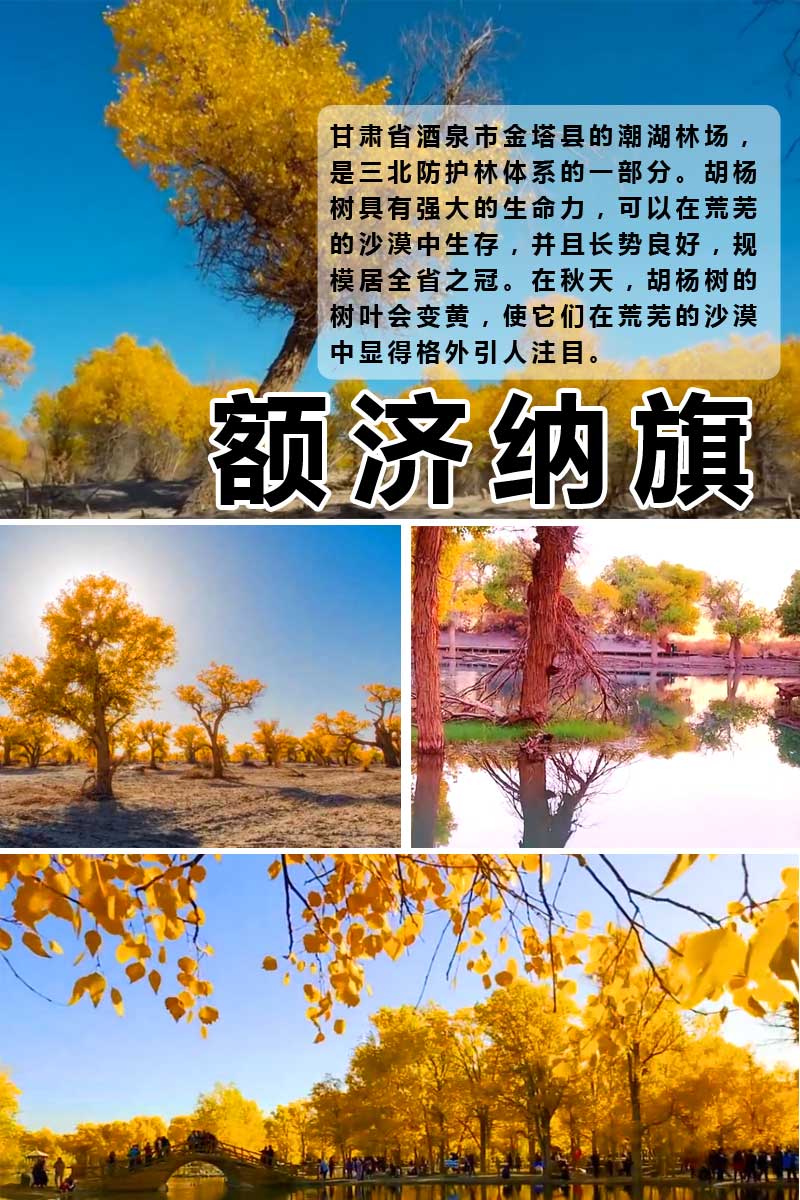 敦煌額濟納旗 敦煌額濟納旗