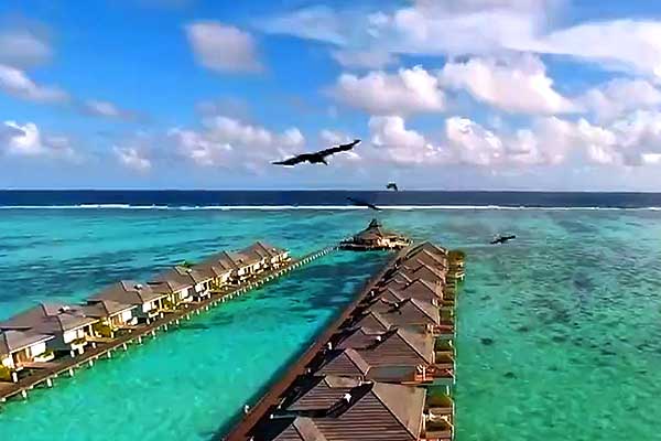 馬爾代夫太陽島
